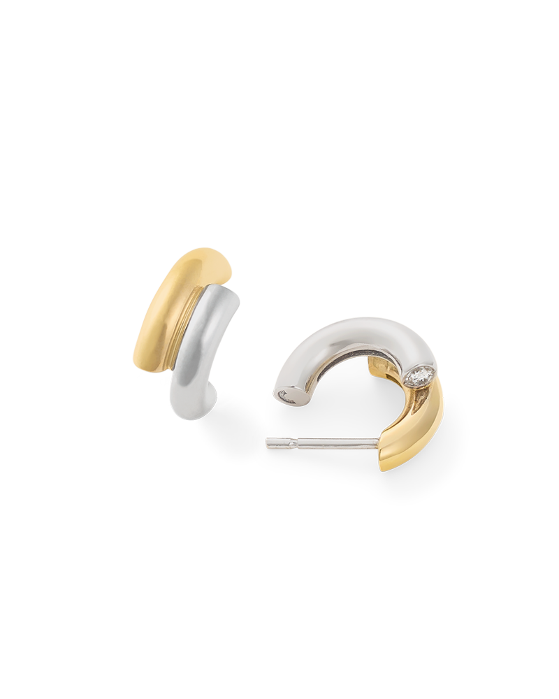 Ĝoja earring
