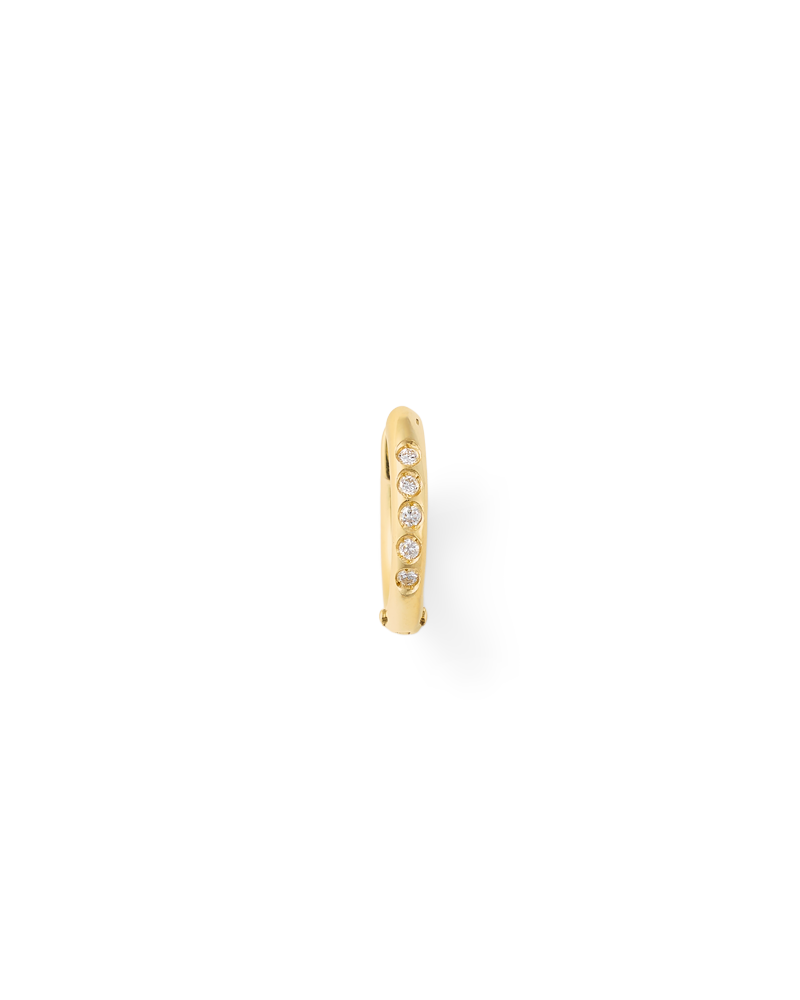 rida earring
